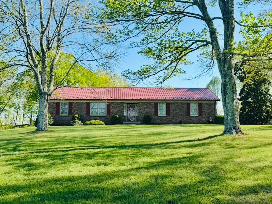 Main View