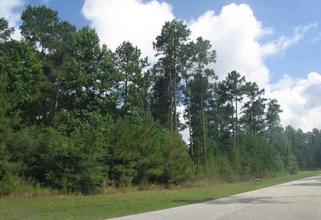 501 Saddlebrook Ln, Tomball, TX 77375 - photo 1