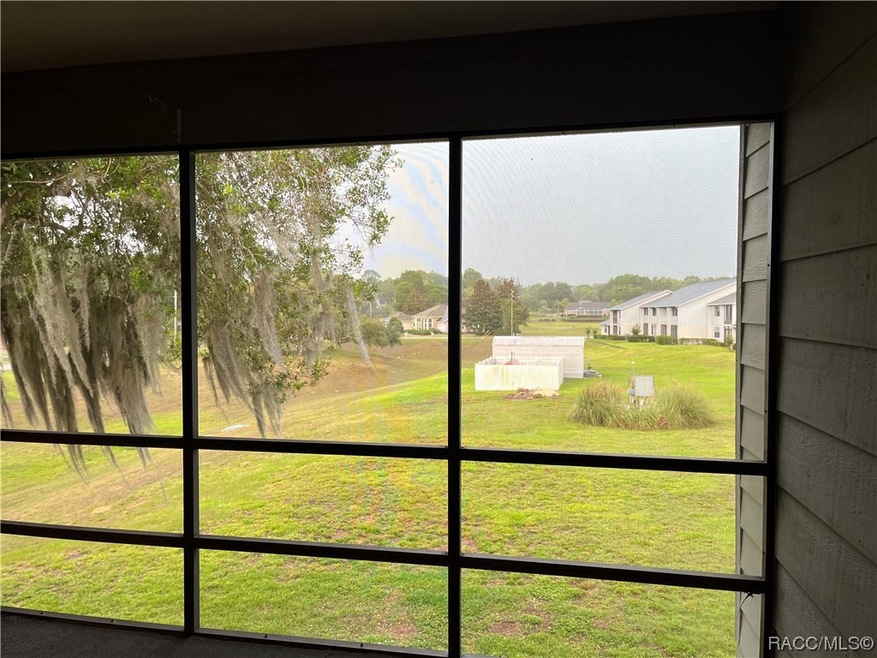 810 E Gilchrist Ct unit 5A, Hernando, FL 34442 - photo 1