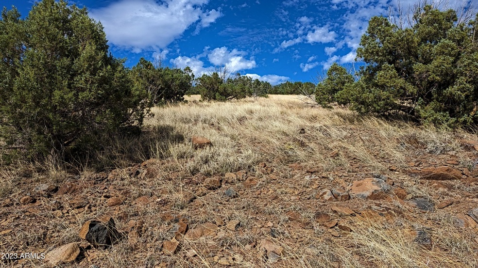 1100 W Warren Way unit 1208, Ash Fork, AZ 86320 - photo 1