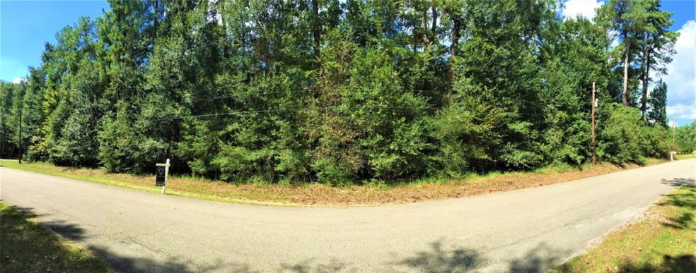 0 S Creek unit 45658700, Magnolia, TX 77354 - photo 1