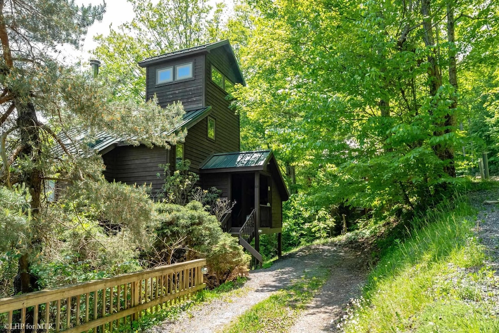 65 Snow Run Rd, Davis, WV 26260 - photo 1