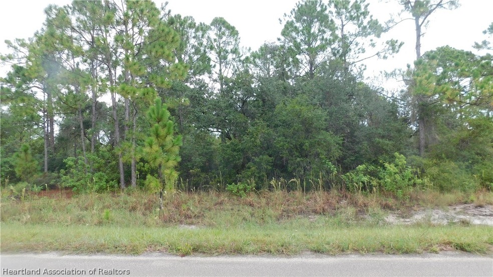 362 Jack Weisser Blvd, Lake Placid, FL 33852 - photo 1