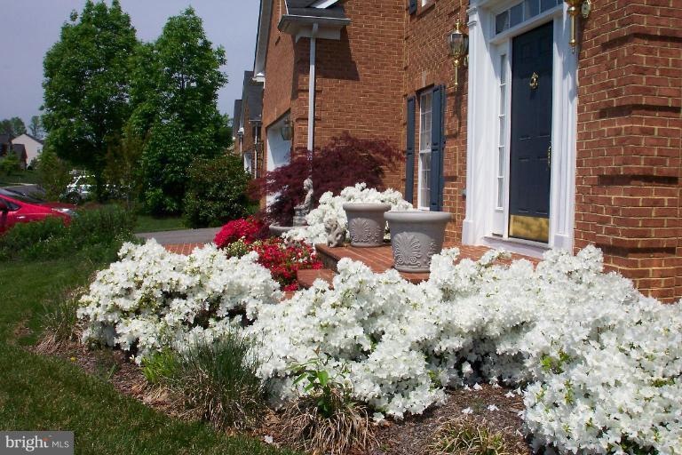 8217 River Park Rd, Bowie, MD 20715 - photo 1