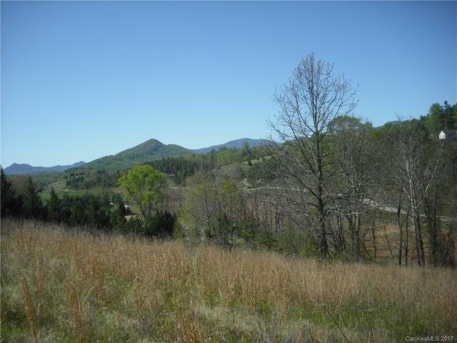 8 Timber Hill Dr unit LOT 2, Leicester, NC 28748 - photo 1