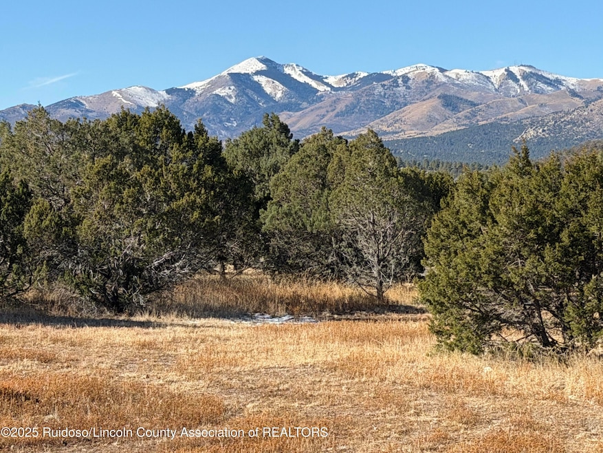 103 Cochiti Ct, Alto, NM 88312 - photo 1