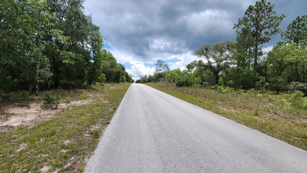 0 SW Pine Bluff Rd unit MFROM659447, Dunnellon, FL 34431 - photo 1