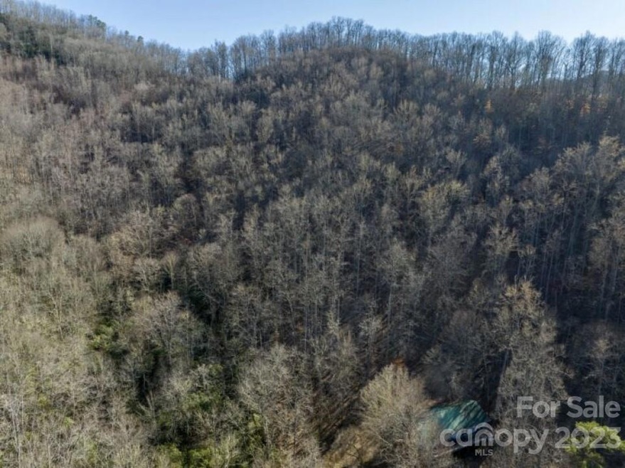 0 Bee Branch Dr unit CAR4027281, Cowee, NC 28734 - photo 1