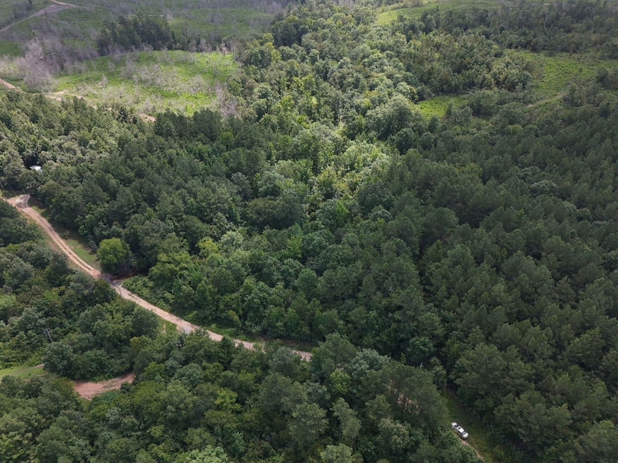 0 Chris Rd unit 24136226, Amity, AR 71921 - photo 1