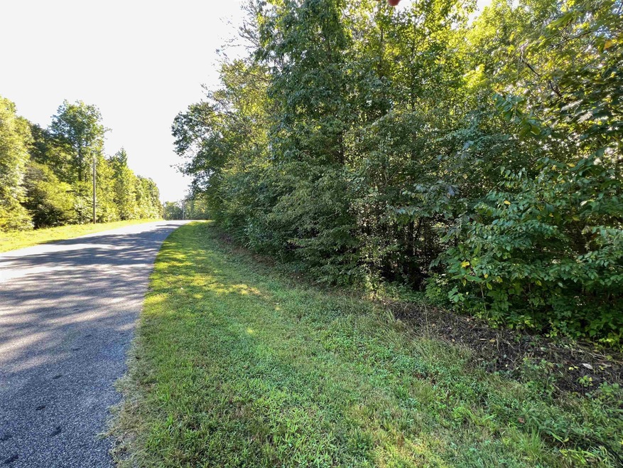 000 Long Rd, Reidsville, NC 27320 - photo 1