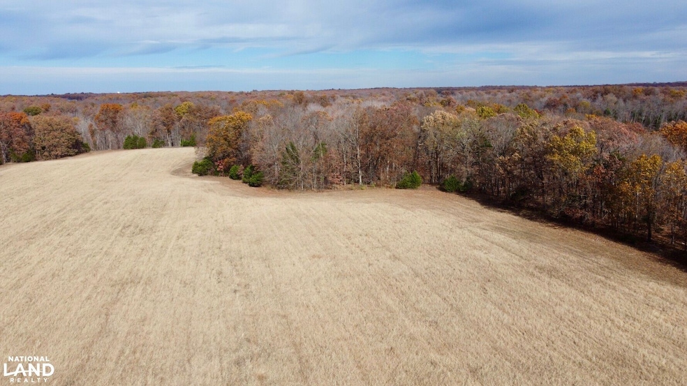 0000 Polston Ln, Hickory Grove Township, MO 63357 - photo 1