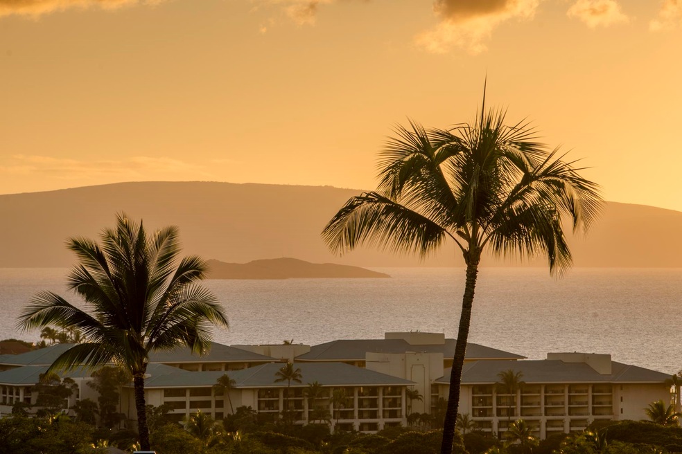 10 Wailea Ekolu Place unit 404, Kihei, HI 96753 - photo 1