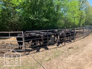 Sold $300,000 • Co-Listing Agent