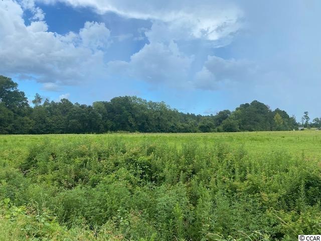 Lot 3A Antioch Rd, Conway, SC 29527 - photo 1