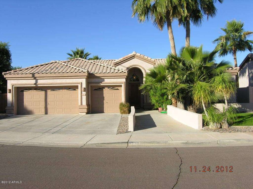YUCCA-FRONT