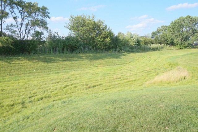 1847 Mappold Way, Joliet, IL 60435 - photo 1