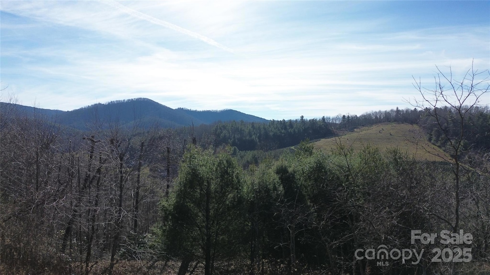 0000 Old River Rd, West Jefferson, NC 28694 - photo 1