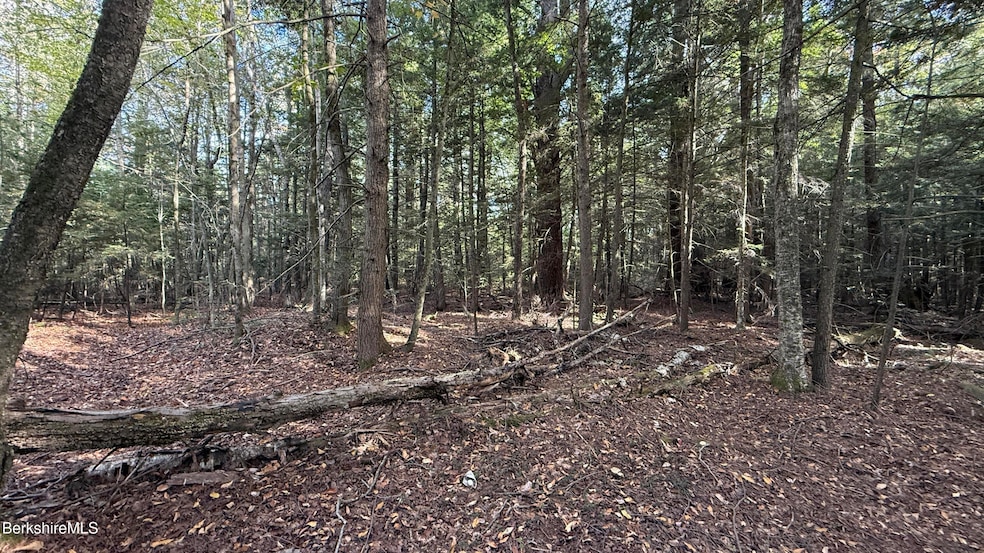 Under Contract $23,000 • Co-Listing Agent