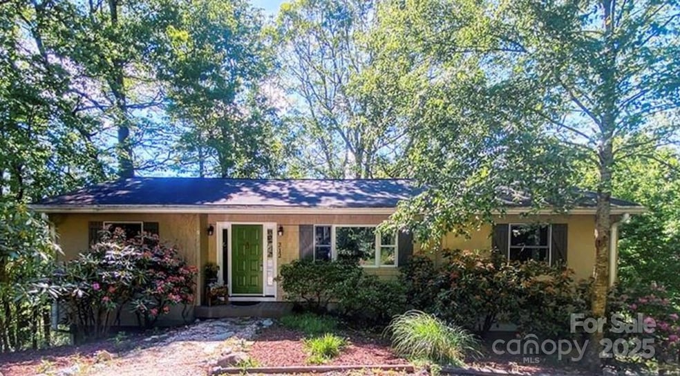 212 White Pine Rd S, Blowing Rock, NC 28605 - photo 1