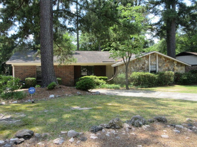 Main View