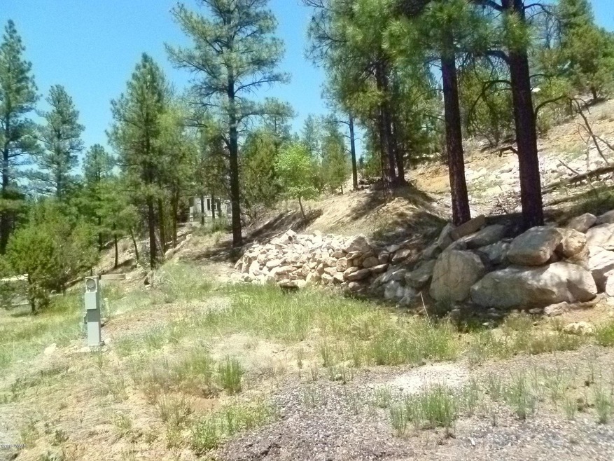 P1040933