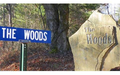 LT 18 The Woods Rd, Mineral Bluff, GA 30559 - photo 1