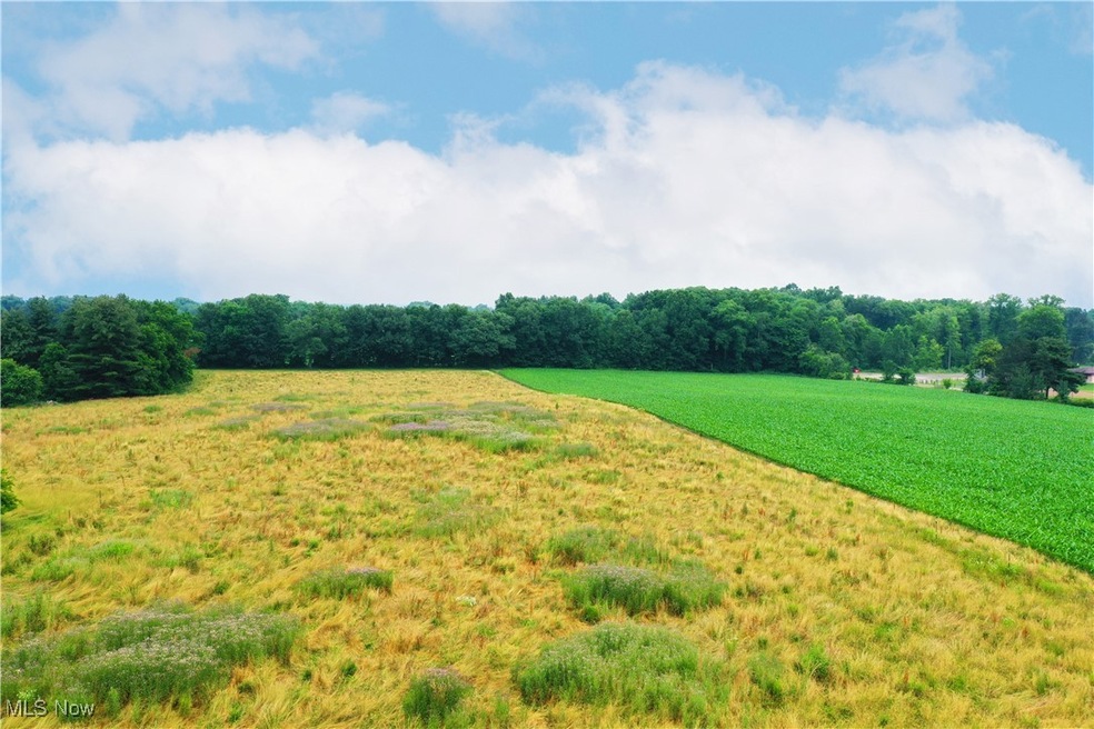 VL 20 Cook Rd, Rootstown, OH 44272 - photo 1