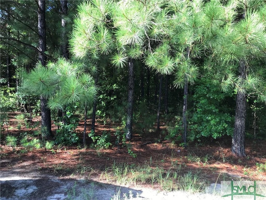 104 Harmony Dr, Springfield, GA 31329 - photo 1