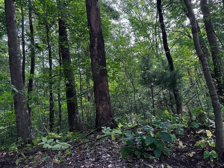 16 Rice Corner Rd, Brookfield, MA 01506 - photo 1