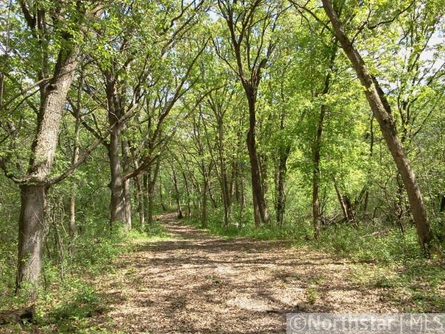 Beautiful tree covered driveway into 15 acres