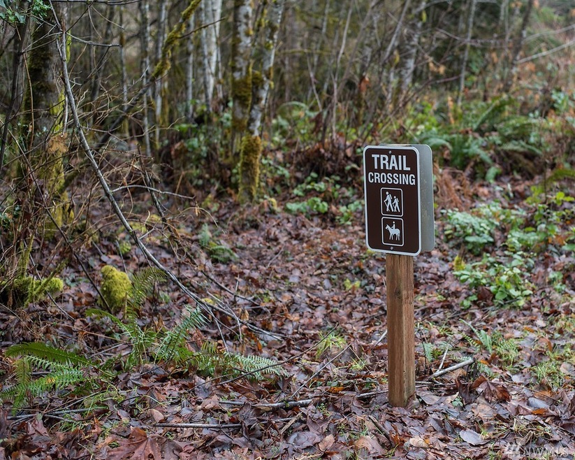 24806 182nd St E, Orting, WA 98360 - photo 1