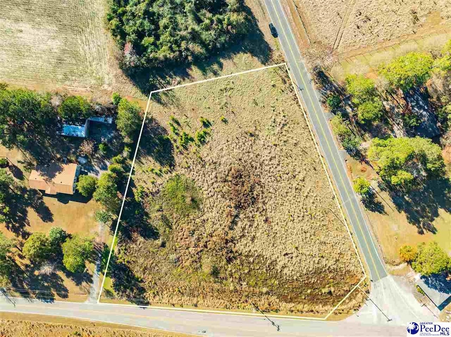 2.34 Acres Hwy 57, Pamplico, SC 29583 - photo 1