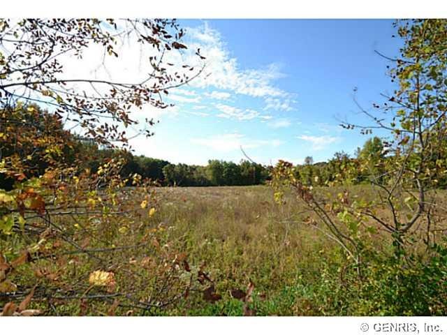 Land/Lot Facing south