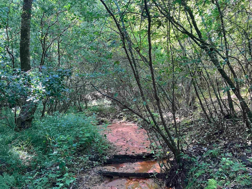 248 ac Bell Crossing Rd, Opp, AL 36467 - photo 1