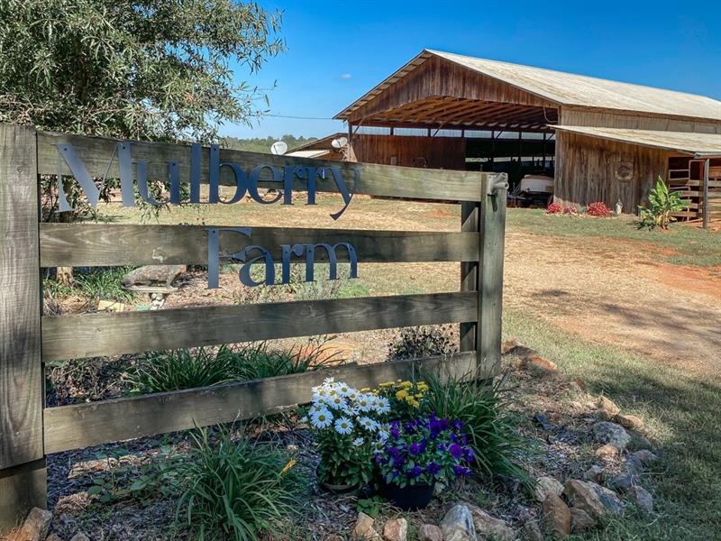 Welcome to Mulberry Farm