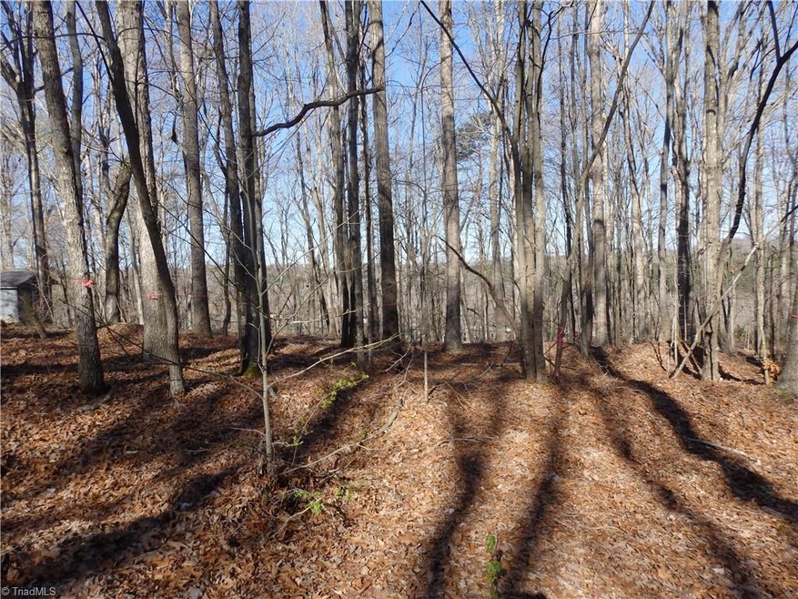 0 Liberty Circle Extension, Asheboro, NC 27205 - photo 1