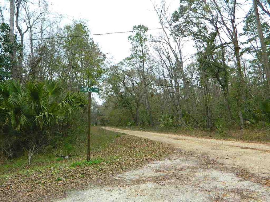 0 Noles Ln unit 302968, Crawfordville, FL 32327 - photo 1