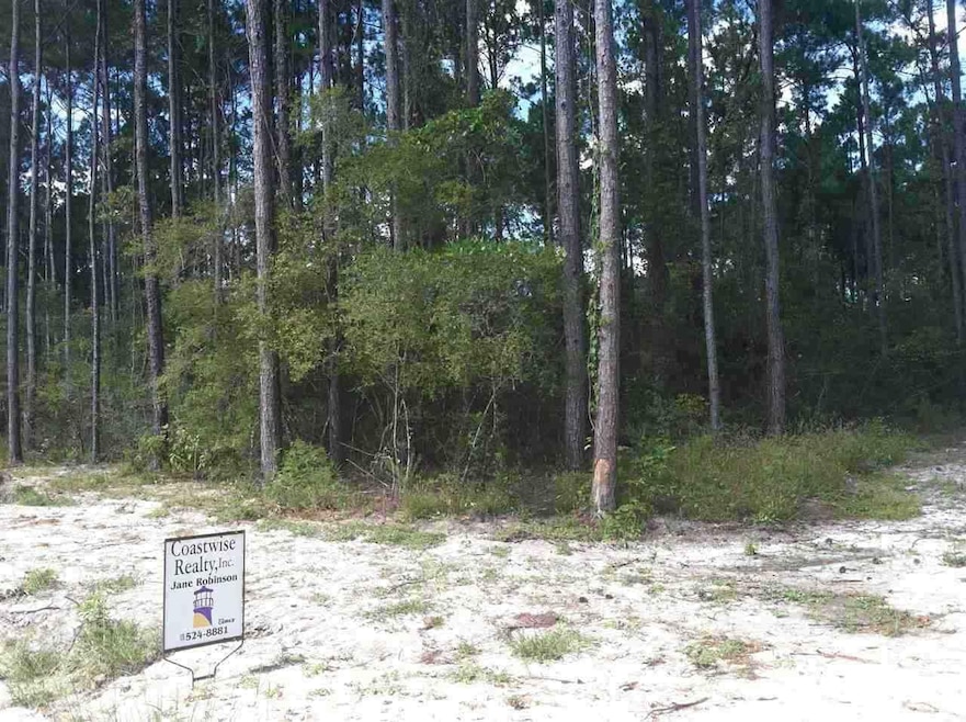 0 Zion Hill Rd, Crawfordville, FL 32327 - photo 1