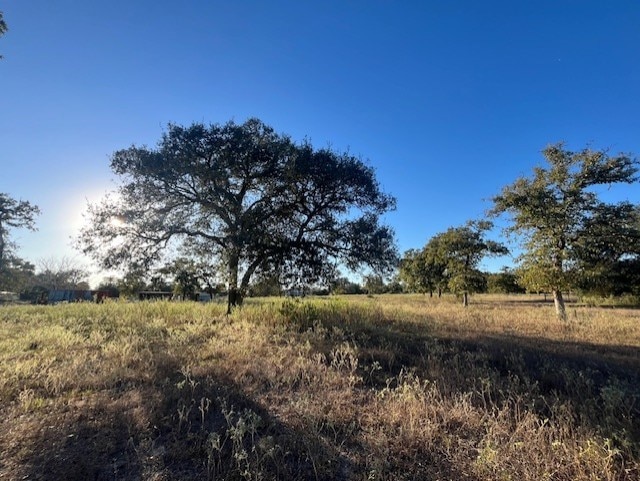 1311-A Alleyton Rd, Columbus, TX 78934 - photo 1