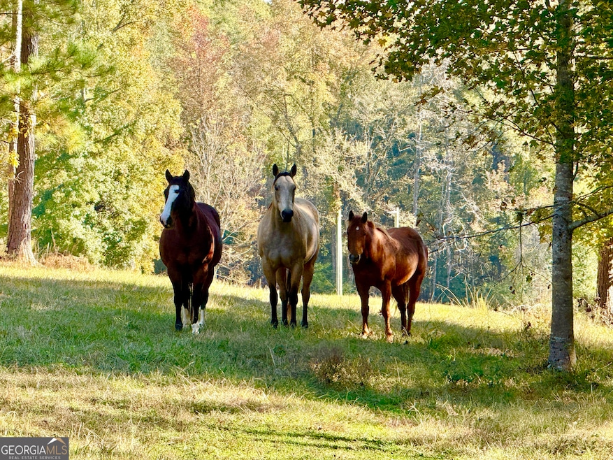 175 ACRES Roosevelt Hwy, Warm Springs, GA 31830 - photo 1