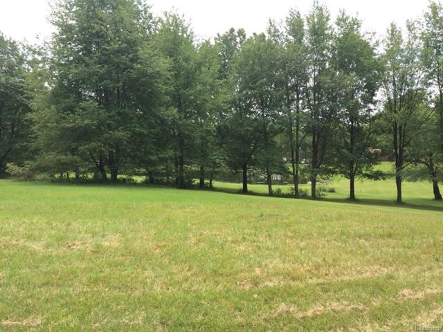 POND VIEW