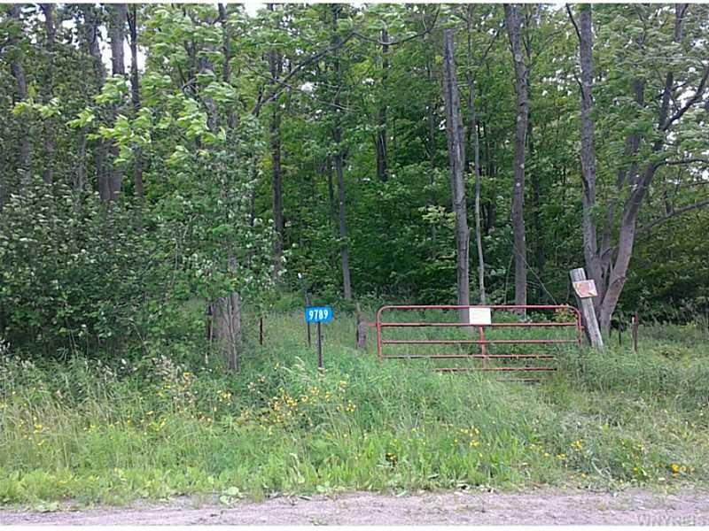 9789 Dow Rd, Freedom, NY 14065 - photo 1