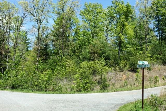 Tract 5 Laurel Run