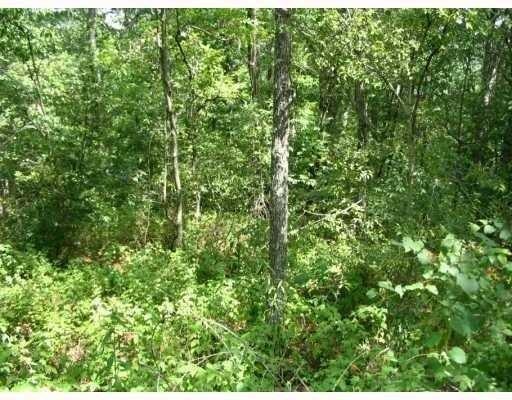 0 Carsaig Cir unit 1075474, Bella Vista, AR 72715 - photo 1