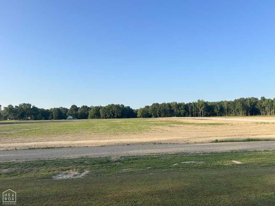 153 C R 422, Jonesboro, AR 72404 - photo 1
