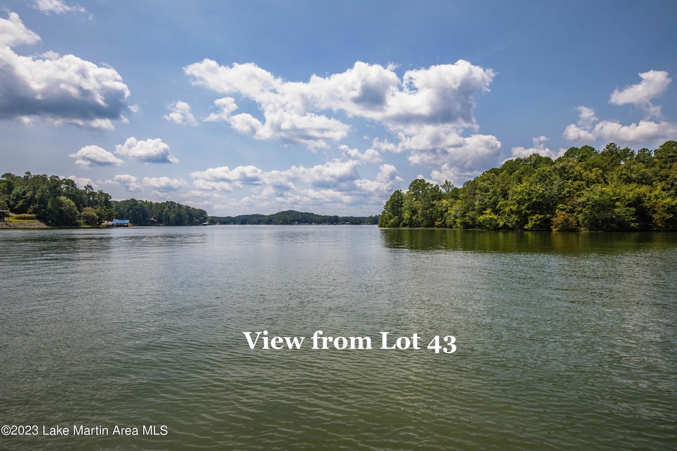 2523 Sturdivant Rd, Jacksons' Gap, AL - photo 1
