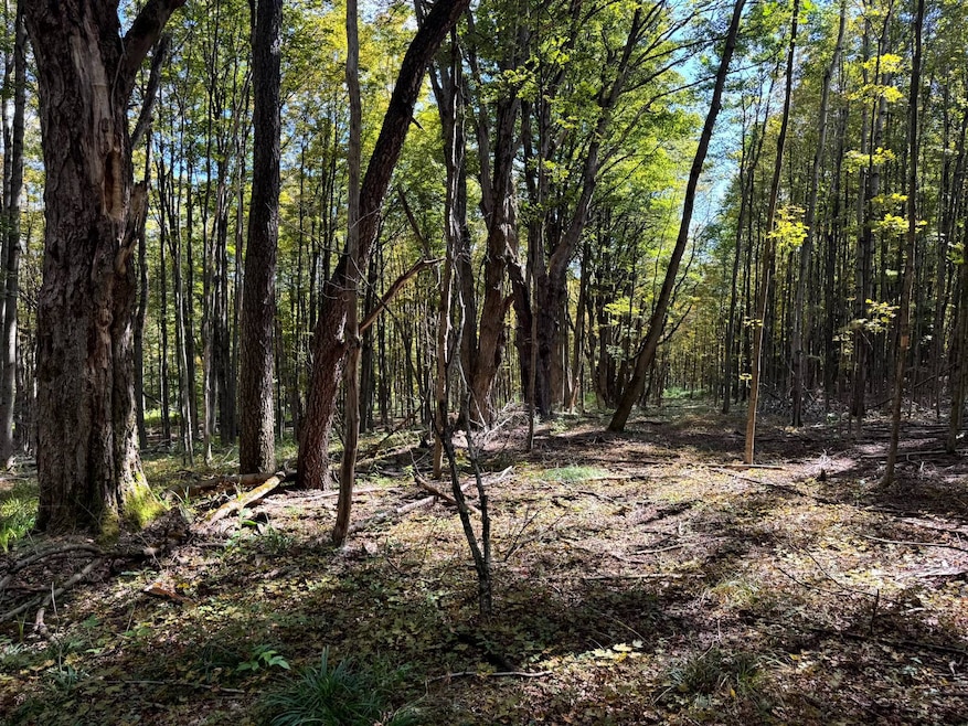 1.5 Graham Rd unit 5, Smyrna, NY 13464 - photo 1