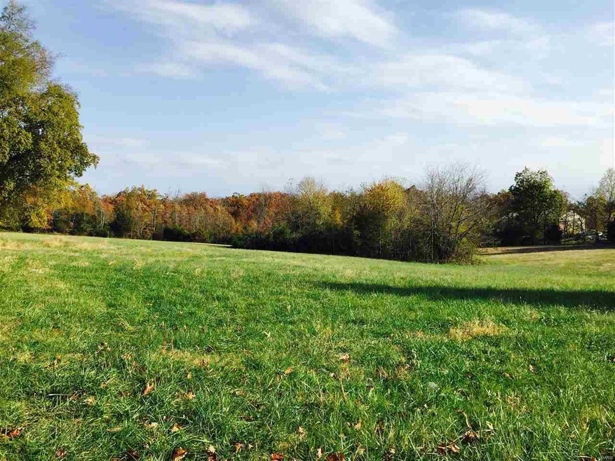 465 Pike Creek Rd, Poplar Bluff, MO 63901 - photo 1