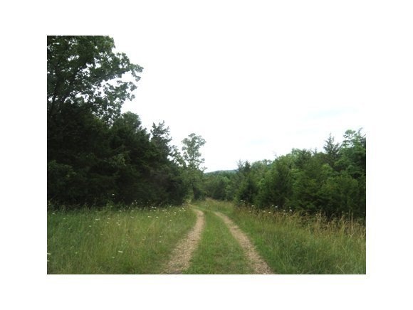 Primary Photo