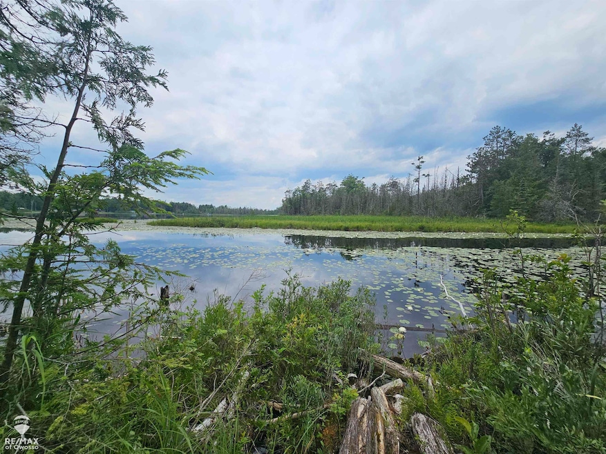 0 Spile Dam Rd unit 50182643, Millersburg, MI 49759 - photo 1